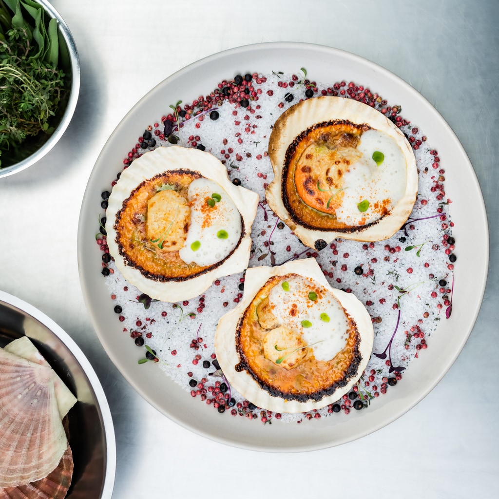 Jakobsmuscheln a la Parmigiana Jakobsmuscheln a la Parmigiana